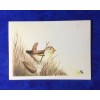 Bird Set of 6 Original Art Bird Notecards, Handpainted Notecrds,