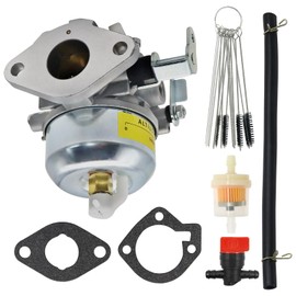 146-0455 Carburetor for Onan Cummins Carb Generator with Gaskets BGD BGE BGM 146-0466 141-0918 141-0926