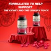 06/2030 PurePremium Kidney Support Supplement with Cranberry Extract - Kidney