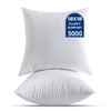 QSWRD 18 x 18 Throw Pillow Inserts Pack of 2