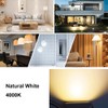 PAR20 LED Bulb 12W, Recessed Narrow Flood Light, Dimmable COB
