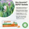 Acurmin DEPOT - Curcumin with Time Delayed Release - Local