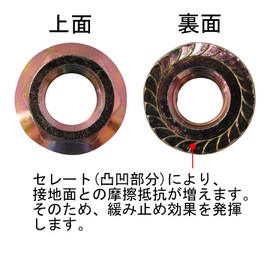 DAIDOHANT 10184717 Hexagonal Flange Nut [Iron/Chromate Plating] (Standard) M6 x Height B 0.2 inches (6 mm) (Quantity: 16 pieces)