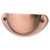 Bestgle 20 Packs Retro Shell Cup Handles, Brushed Red Copper