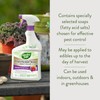 Garden Safe 32 oz. Insecticidal Soap Ready-to-Use, 1 Count (Pack