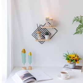 Walasis Shelves for Room Wall Decorative - Black Hanging Shelf for Plant Display 2 Tiered Floating Bathroom Shelf Metal Kitchen Wall Decor Modern Geometric Wall Art