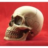 BawdyPartz m10-1.5 Large Skull Gear Shift Knob Hot Rat Street