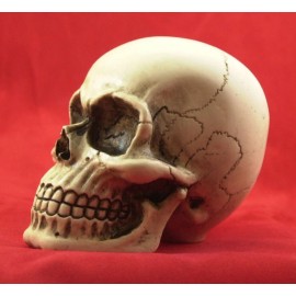 BawdyPartz m10-1.5 Large Skull Gear Shift Knob Hot Rat Street Rod American Made 11