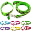Doggie Style Store Small Dog Puppy Pet Collar and Lead
