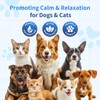 CFILIHTC Calming Drops for Dogs & Cats