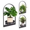 3 Pack Wall Plant Holder for Indoor Plants, Metal Wall