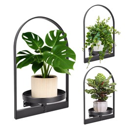 3 Pack Wall Plant Holder for Indoor Plants, Metal Wall Mounted Plant Shelf for Small Pots, Modern Arch Hanging Wall Planter Display with Hooks, Plant Frame Wall Decor for Living Room, Bedroom, Black