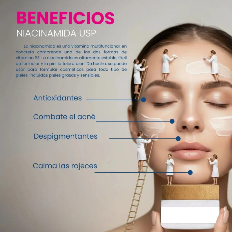 Niacinamida USP Vitamina B3 Cosmética 250 g Apta para Todo