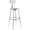 NPS 24" Adjustable Height Steel Stool with Backrest, Grey