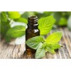 Menta Piperita Aceite Esencial Puro.uso Difusor Y Comestible