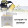 TOMVAES Bee Hive Box Bee Box Single Layer Foam Box