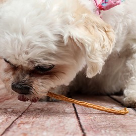 Texas Pet Company Chicken Jerky Sticks, Crunchy Dog Treats Use Locally Sourced Chicken Breast, Made in USA, 100% Natural, Hard Treat for All Dogs, 75 Count