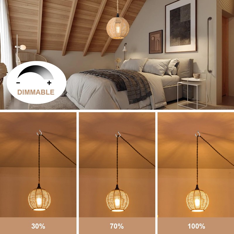 ALAISLYC 15ft Plug in Pendant Light with Cord Dimmable Switch