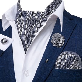 DiBangGu Polka Dot Cravat Ascot Tie Set with Laple Pin Mens Silver Formal Casual Ascot Silk