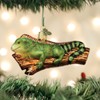 Old World Christmas Adorno de Navidad del Viejo Mundo, Iguana