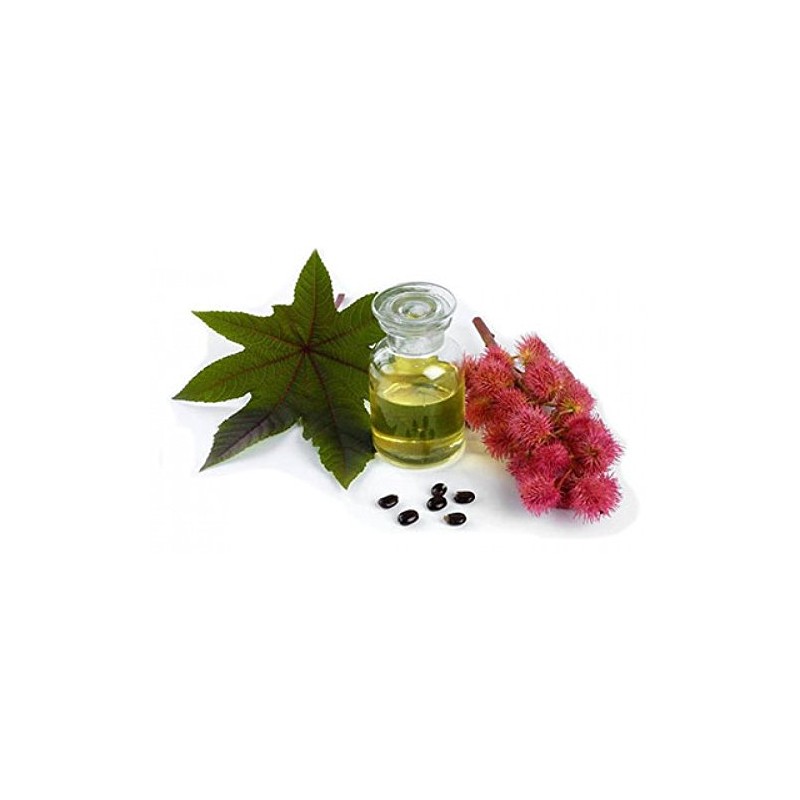 manelya Castor Oil with Eyelash Applicator 10ml