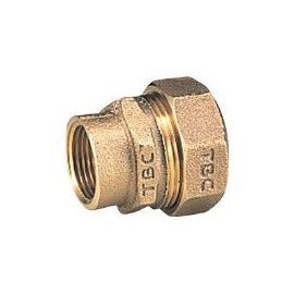 TBC 20P-GV1 PE Fitting Female Thread Type 0.8 inch (20 mm)