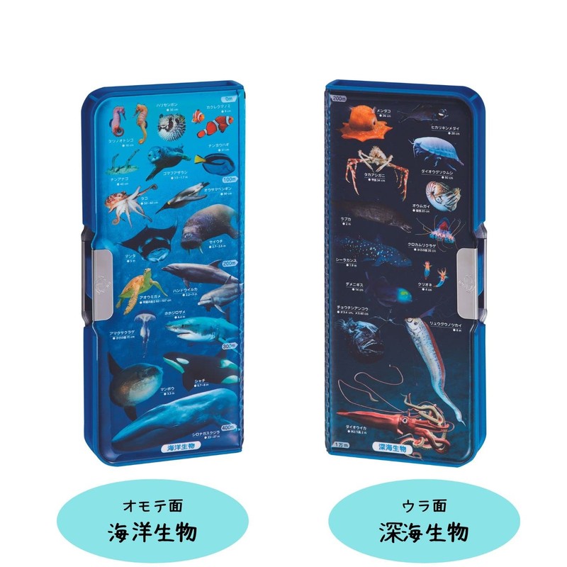 Kutsuwa Pencil Case, Magnetic Brush, 2-Door Learning Brush, Marine Life