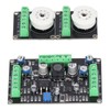 Vacuum Tube Driver Board Drive Module Dual Channel Level Indicator
