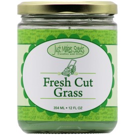 Fresh Cut Grass Scented Blended Soy Candle by Just Makes Scents (12 oz)