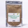 Herb To Body Plantain Leaf Powder – 4oz, Wildcrafted Plantago