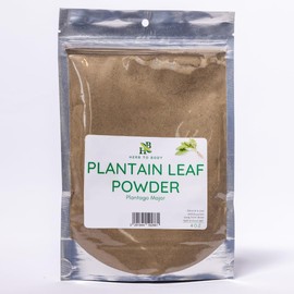 Herb To Body Plantain Leaf Powder – 4oz, Wildcrafted Plantago major, Finely Ground Plantain Leaf for Herbal Tea, Traditional Herbal Blends, and DIY Preparations