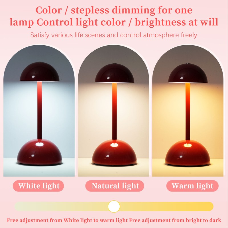 Kids Reading Light Stepless Dimming 3 Color Mode USB Charge