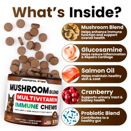 Mushroom Supplement for Dogs - 170 Chews - Mushrooms for Dogs - Turkey Tail, Reishi, Lion’s Mane, Glucosamine Multivitamin - Immune Booster, Gut, Hip & Joint Health Support Vitamins, Energy & Skin