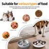 YeQIENGC Slow Feeder Dog Bowl - 2-in-1 Stainless Steel Pet