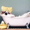 Pet Shower Caps, Swimming Cap for Cat Dog, Waterproof Bonnet,