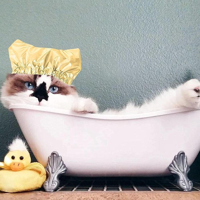 Pet Shower Caps, Swimming Cap for Cat Dog, Waterproof Bonnet,