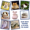 ANTESCORT Ceramic Small Cremation Urn for Pet Ashes with Rabbit