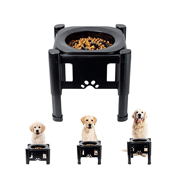 Pawque Slow Feeder Dog Bowls Elevated Dog Food Bowls, Adjustable