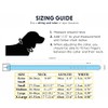 Vibrant Leather Dog Collar for Puppy, Cat, Kitten, Dogs -