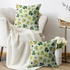 St Patricks Day Pillow Covers 18X18 Set of 2, Shamrock