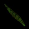 Luminous Wood Shrimp Squid Hook Lures Shrimp Bait with Squid