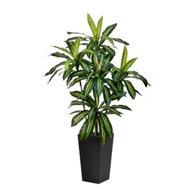 Artificial Dracaena Tree 5FT Tall Fake Plant with White Pot - Realistic Faux Dragon Tree with Tall Planter - Indoor Floor Plant for Home, Office,Mall, Living Room, Bedroom Decor (Black - Planter, 5ft)