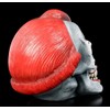Figuren Shop GmbH Gothic Skull Horror Clown - Play Time
