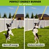 HOKINETY Dog Hanging Bungee Tug Toy: Interactive Tether Tug-of-War for
