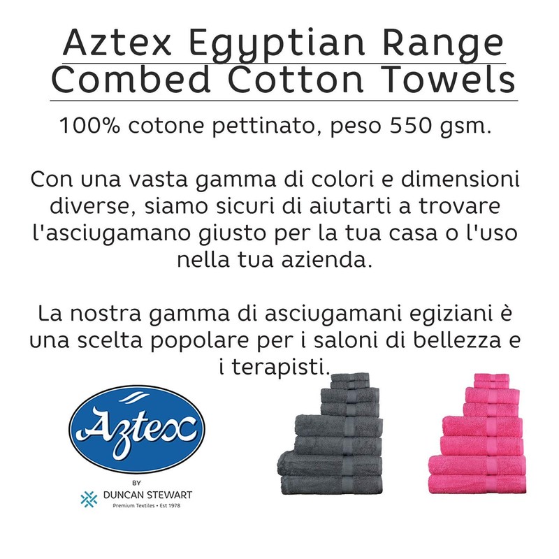 aztex Egyptian Range, 100% Cotton Towels - Hand Towel, Silver