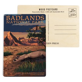 Badlands National Park, South Dakota, Ferret at Night (4x6 Birch Wood Postcards, 2-Pack Stationary, Rustic Home Wall Decor)