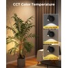 PESUTEN Zoomable Spot Lights Indoor, Rechargeable Picture Light with Remote,