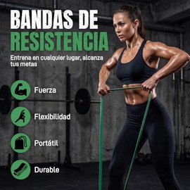 Bandas de Resistencia para Ejercicio Set de 9 Piezas, Ligas de Resistencia para Ejercicio con Bolsa de Transporte, 2 Asas, Anclaje para Puerta y Ganch