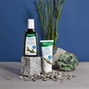 RAUSCH Seaweed Scalp Pack 100 ml