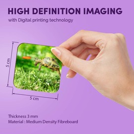 1 x Square MDF Fridge Magnet - Tortoise Turtle Jumping Frisbee 14390